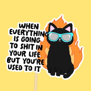 Katzenaufkleber // Wasserdichter Aufkleber Schwarze Katze Selbstfürsorge Schwarzer Humor Fluchen Relatable Life Zitat -E003
