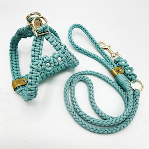 Handmade Step in Cobra Harness With Flowers +  Lead Set