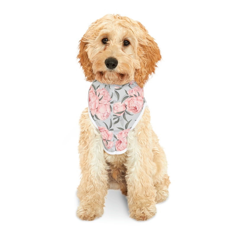 Pet Hoodie Pet Gift Pet Clothes for Dogs Pet Accessories Etsy