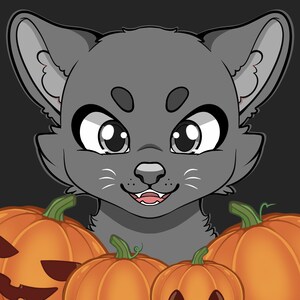 Halloween Cute Cat Profile