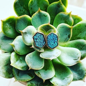 CLT Halftime Earrings