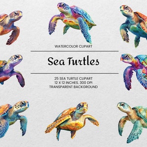 Clipart de tortugas marinas - 25 PNG - Transparente - Animales marinos de acuarela - Descarga digital - Para uso comercial - Arte de pared de tortugas marinas