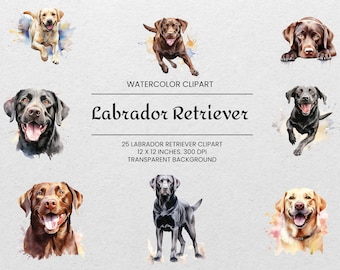 Labrador Retriever Clipart - 25 PNGs - Transparent - Watercolor Dog Clipart - Dog Portrait - For Commercial Use -  Yellow, Black, Chocolate