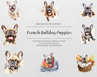 French Bulldog Puppy Clipart - 30 PNGs - Transparent - Watercolor Dog Clipart - Dog Portrait - For Commercial Use -  Frenchie Mom Gift