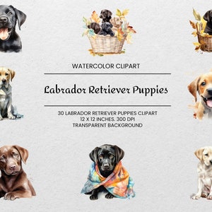 Labrador Retriever Puppies Clipart - 30 PNGs - Transparent - Watercolor Dog Clipart - Dog Portrait - For Commercial Use - Labrador Mom Gift