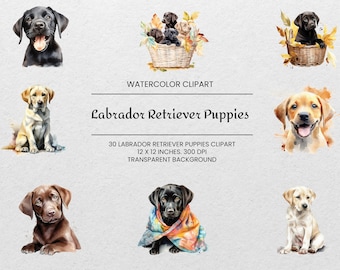 Labrador Retriever Puppies Clipart - 30 PNGs - Transparent - Watercolor Dog Clipart - Dog Portrait - For Commercial Use - Labrador Mom Gift