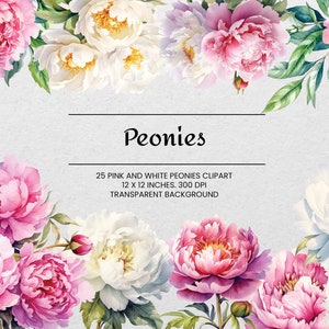 Rosa & weiße Pfingstrosen Clipart - 25 PNGs - Transparent - Aquarell Pfingstrosen - Botanische Kunst - Digitaler Download - für den kommerziellen Gebrauch