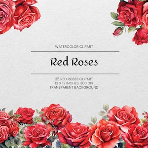Clipart de rosas vermelhas - 25 PNGs - Transparente - Rosas em aquarela - Arte botânica - Download digital - Para uso comercial
