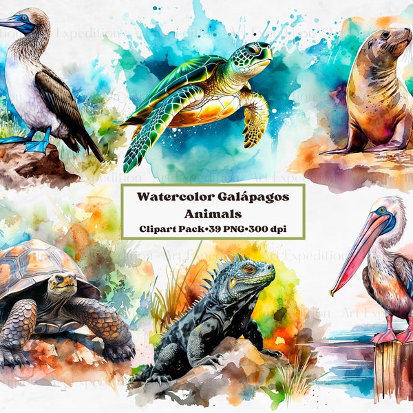 Watercolor Galápagos Islands Animals Clipart  - PNG format instant download for commercial use | blue-footed booby, iguana, turtle, sea lion