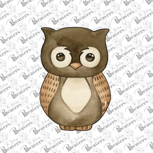 May include: A brown and white owl with large eyes and a spotted pattern on its wings. The owl is standing on a white background.