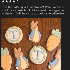 May include: Cookies decorated with Peter Rabbit and carrot designs. The cookies are beige, brown, and blue, with green accents. Some cookies have the letter "T" in blue. The cookies are arranged on a wooden surface.