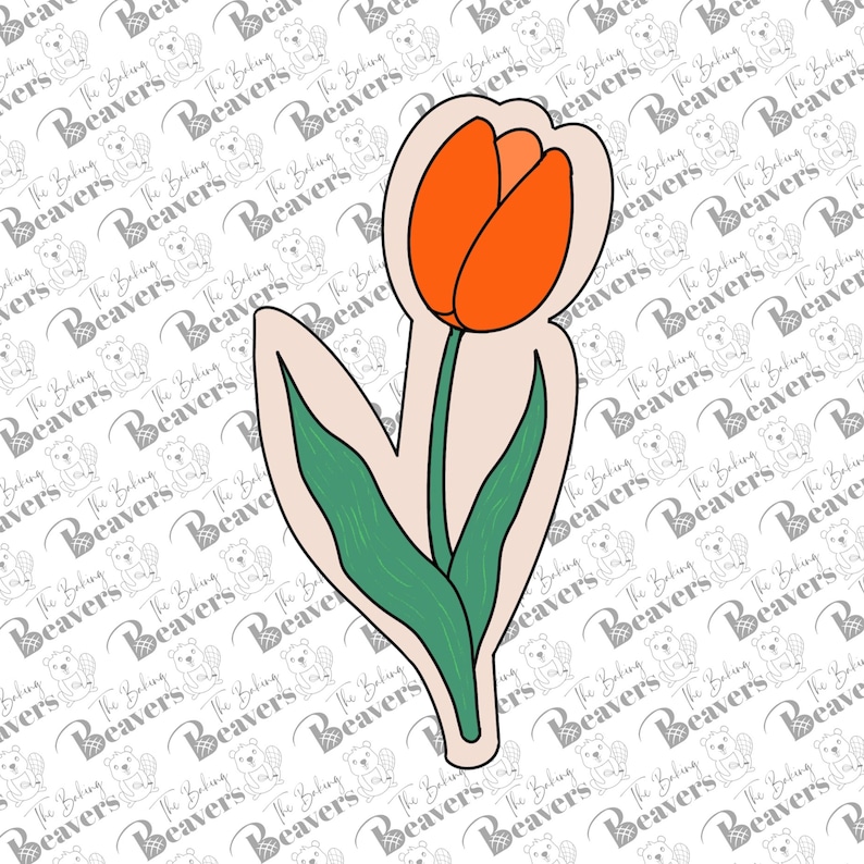 Op de afbeelding: Een enkele oranje tulp met een groene stengel en bladeren. De tulp bloeit en heeft een afgeronde vorm.
