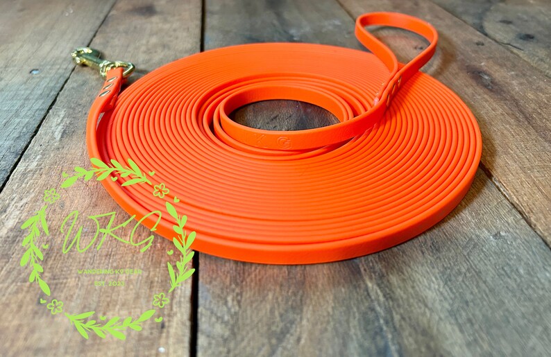 Biothane® Leash With Solid Brass Hardware Etsy