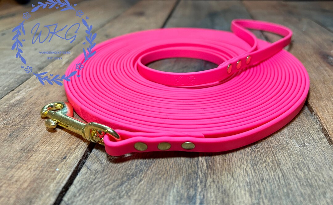 Biothane® Leash With Solid Brass Hardware Etsy