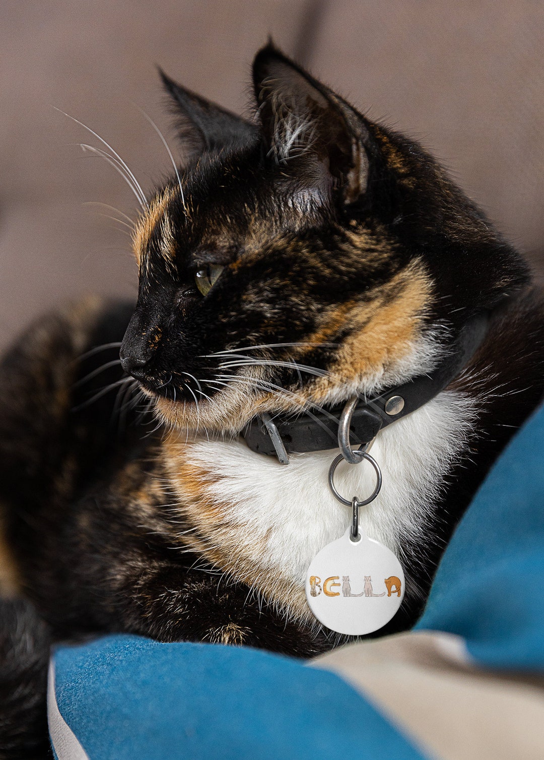 Cat Letters Cute Cat Tag Name in Cat Letters on Front of Tag Etsy