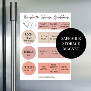 Breastmilk Storage Magnet, Safe Milk Storage, Lactation, Milk Storage Magnet, Pumping Mom, Exclusive Pumping Mom, New Mom Gift, Baby Shower