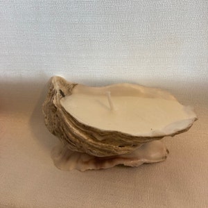Oyster Shell Candle Individual WITH STAND