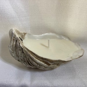 Oyster Shell Candles