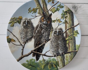 Long-Eared Owls Knowles Plate: Limited Edition Wildlife Art