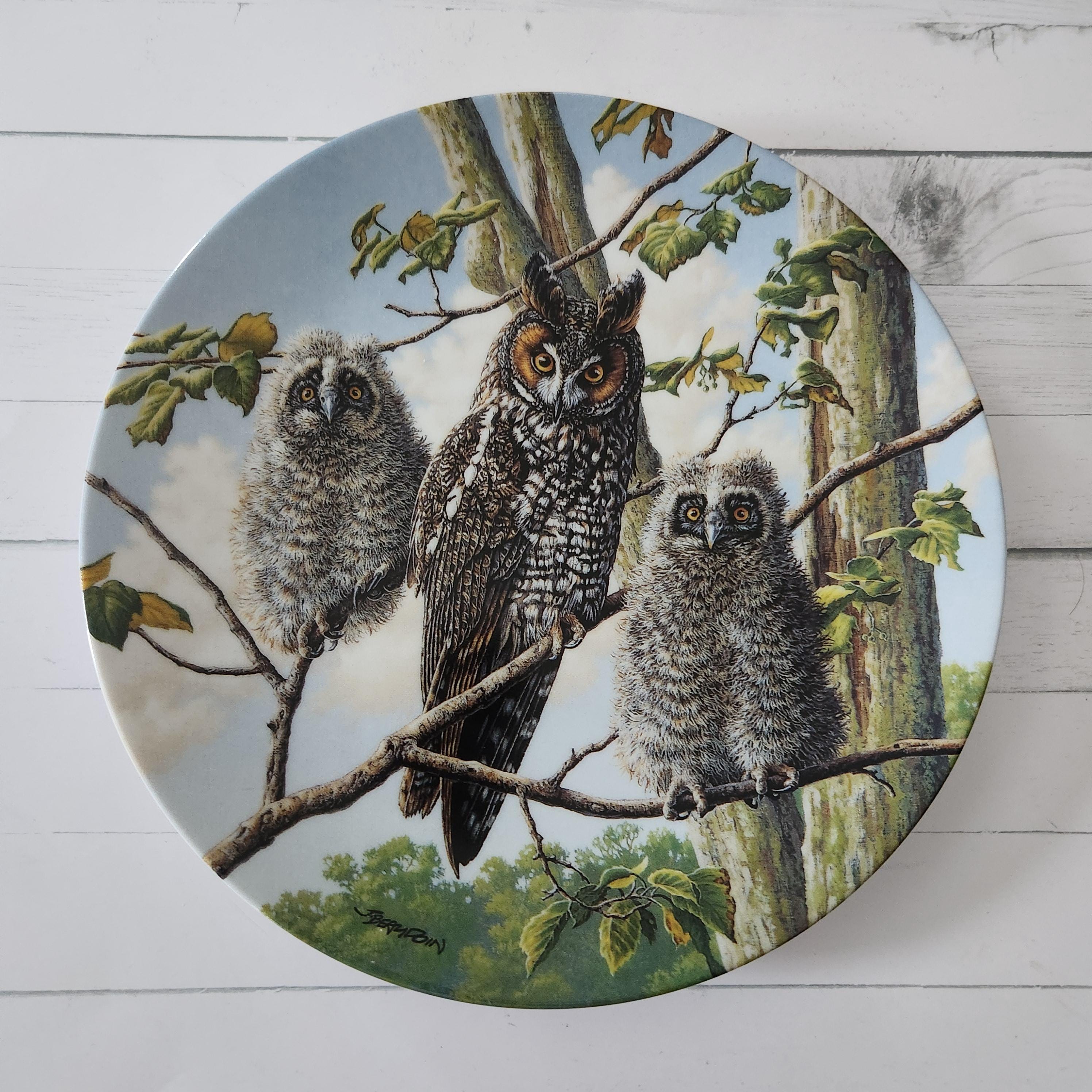 Long-Eared Owls Knowles Plate: Limited Edition Wildlife Art