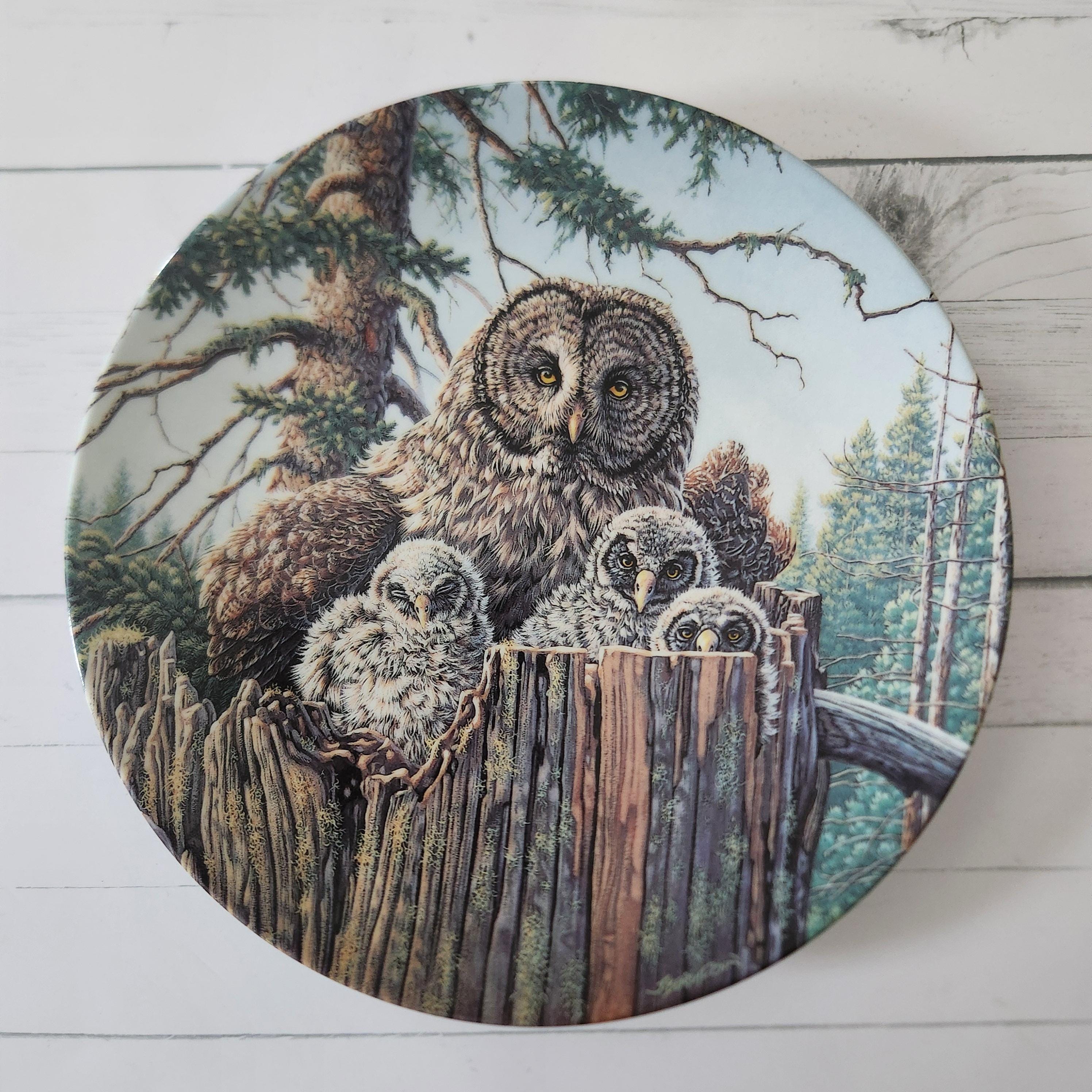 Great Gray Owl Plate &ndash; Knowles Limited Edition, Jim Beaudoin Art