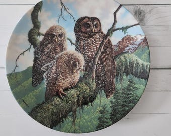 Knowles Collectible Owl Plate: Jim Beaudoin, Mother's Wing