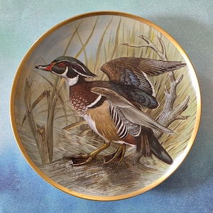 Franklin Porcelain Water Birds of the World Plates - Etsy