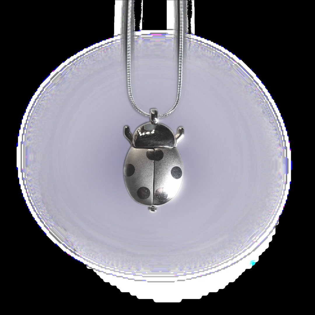 Chunky Ladybug Clock Stainless Steel Necklace Etsy