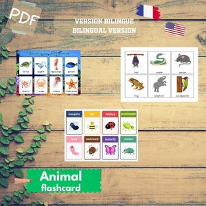 62 cartões flash em PDF para impressão - Montessori - Animais: mar, floresta, selva, inseto - Inglês e Francês - Download imediato