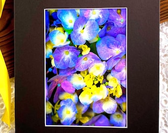 Hydrangea Flower, Matted 8x10, Purple Floral Wall Art, Valentine's Day Gift, Print 5x7,