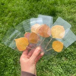 Marque-page feuille d&#39;automne Fait à la main sur commande avec de vraies feuilles pressées, marque-page botanique laminé surprise