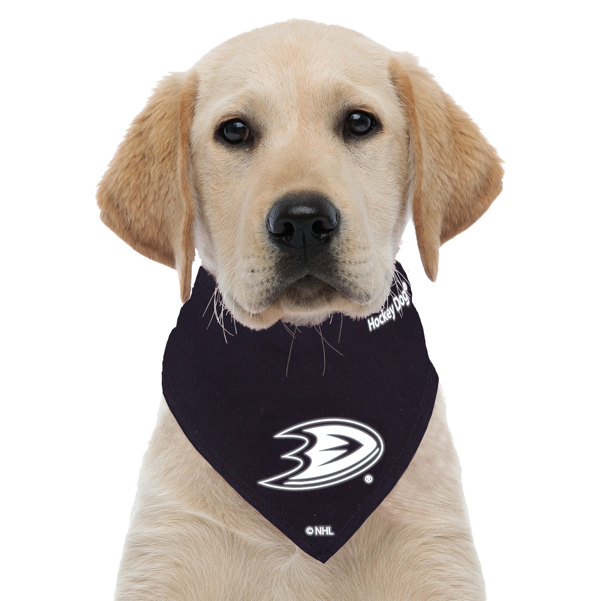 Anaheim Ducks sports pet supplies for dogs