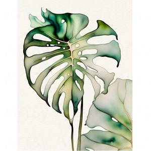SWISS CHEESE PLANT, Monstera Plant Art, Tropical Plant Art, Digital Art, Leafy Green Art, Exotic Plant Art, Green Leaf Art, Botanical Art