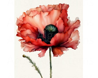 May include: A watercolor painting of a single red poppy flower with a green center. The flower is in bloom and has a delicate, ruffled appearance.
