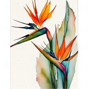 BIRD OF PARADISE, Digital Art, Colorful Plant Art, Flower Art, Tropical Plant Art, Exotic Plant Art, Nature Art, Poster Art, Botanical Art