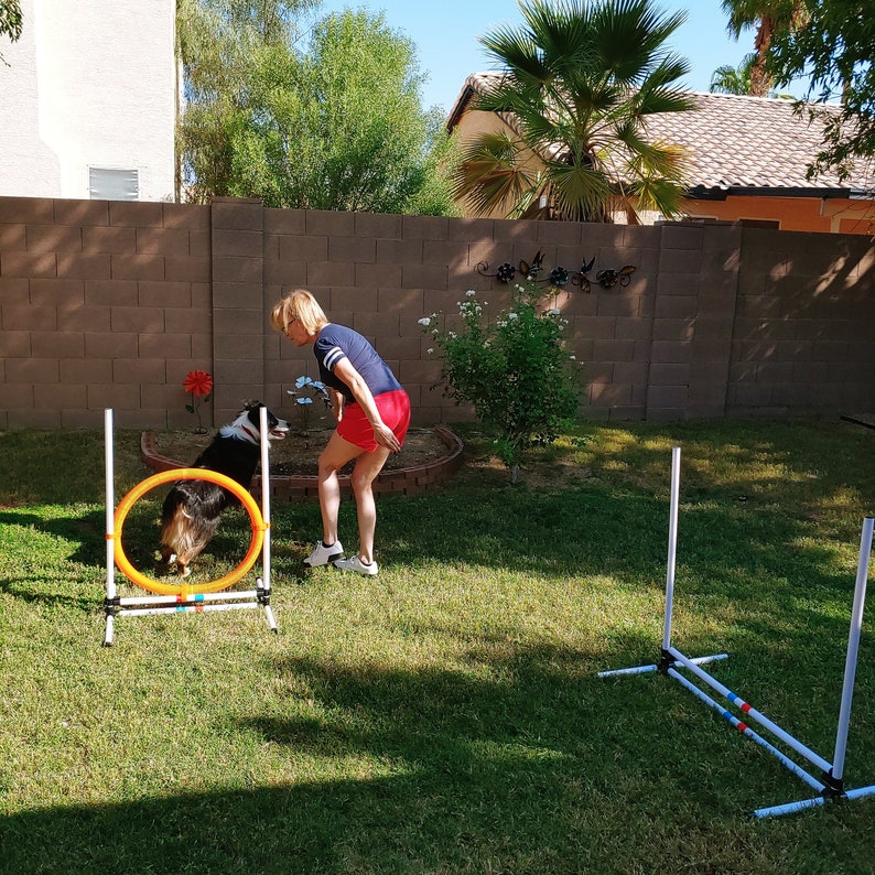 Printable Weekly Dog Training Schedule Keep Track of Training Progress Easy to Use Tracker Etsy