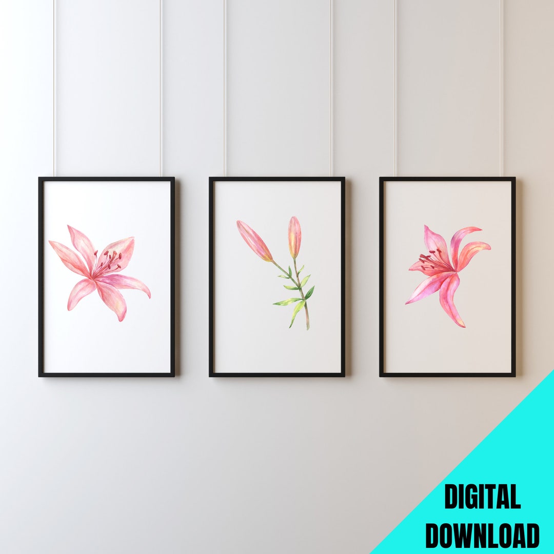 Floral Watercolor Print Set: Lily Flower Wall Art (digital Download) - Etsy