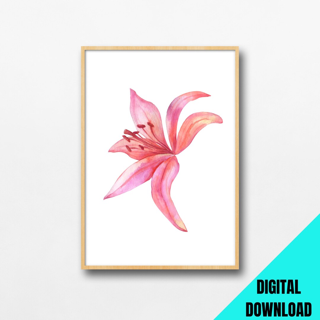 Watercolor Floral Print: Pink Lily Wall Art (digital Download) - Etsy