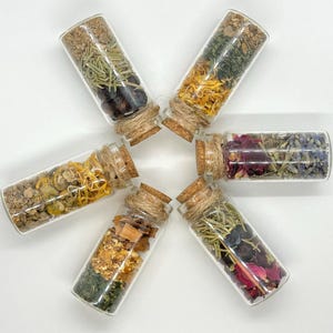 Intention Bottle Themed Spell Jars 10ml 20ml (Guardian, Healing, Courage, Home Protection, Manifestation, Brave) Natural Dried Herbs Flowers