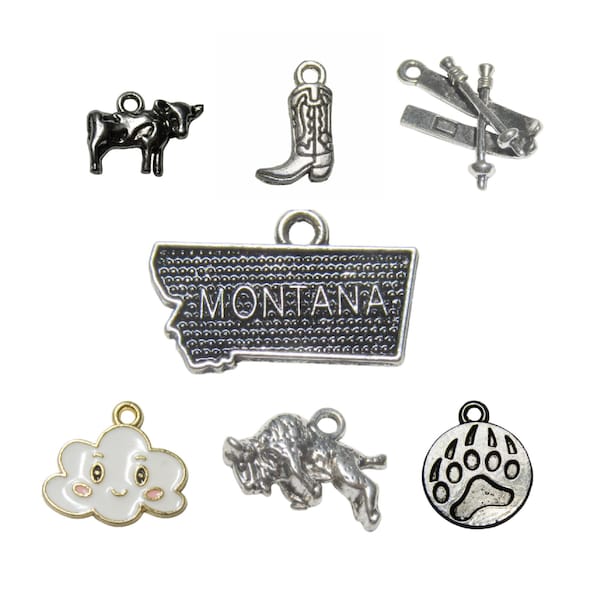 Montana Themed Stitch Marker Set, Progress Keeper Montana State Lover, Knit /Crochet Gift for Montana Friend, Montana Phone Zipper Charm