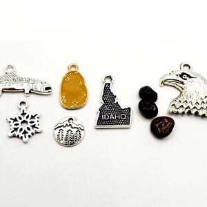 May include: A collection of silver-toned charms, including a fish, snowflake, mountain scene, and an eagle head. Also included are a gold-colored potato charm, a charm in the shape of Idaho with the word "IDAHO", and several dark red stones.