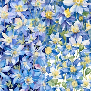 Colorado State Flower - Colorado Blue Columbine Blossom - Flower Pattern Seamless (4)