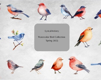 Set of 16, Watercolor Birds Clipart Bundle, Spring Birds Clipart, Birds Bundle, Colorful Birds Clipart, Birds On Branch Clipart, Digital PNG