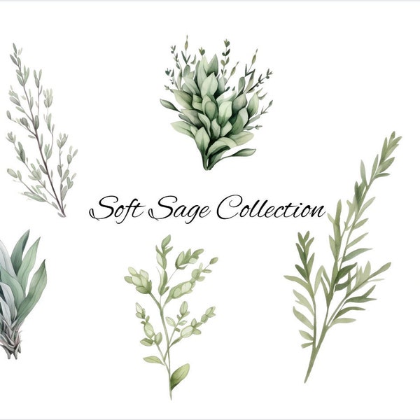 Sage Greenery Clipart - Greenery Clipart - Sage Clipart - Sage Watercolor - Watercolor Greenery - Greenery - Invitations, Crafts