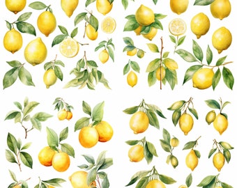 Aquarel citroen clipart, fruit en bladeren, citroen kunst, aquarel gebladerte, groen clipart, fruit clipart, aquarel fruit clipart