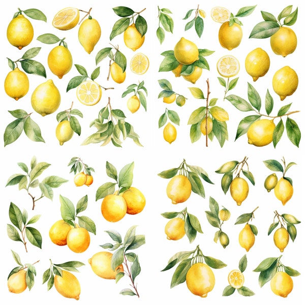 Watercolor lemon clipart, fruit and leaves, lemon art, watercolor foliage, greenery clipart, fruit clipart, watercolor fruit clipart