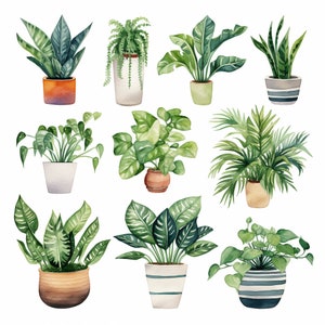 Watercolor House Plants Clipart - Watercolor Greenery and Foliage - Instant Download - Philadendrum - Potted Plants - Fern - Snake Plant