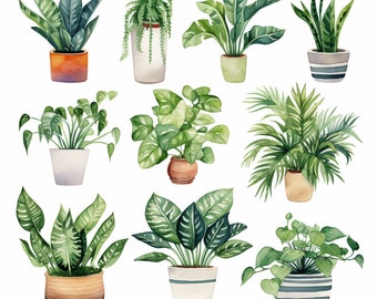 Clipart aquarelle plantes d'intérieur - aquarelle verdure et feuillage - téléchargement immédiat - Philadendrum - plantes en pot - fougère - plante serpent