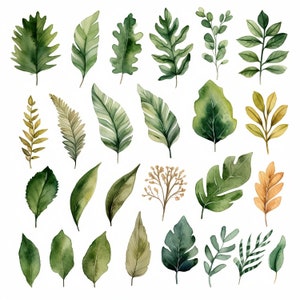 Groen gebladerte bladeren ClipArt bundel 4, 25 items-aquarel botanische PNG digitale bestanden voor huwelijksuitnodigingen, scrapbooking en ambachten