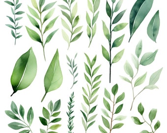Greenery Foliage Leaves Clipart Bundle, Watercolor Leaves png, Lush Green Botanical Clipart, Personal Use, Commercial Use, Leaf Download